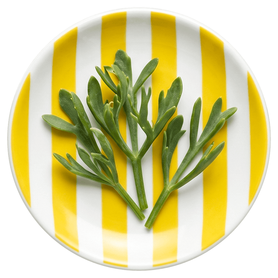 Sea Fennel
